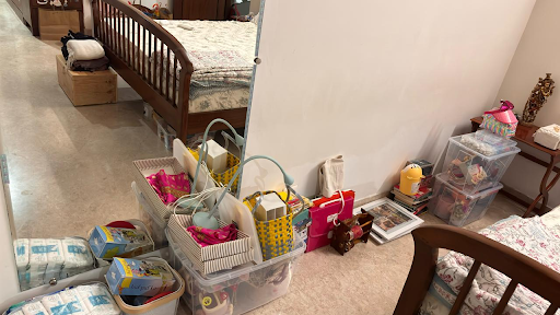 DIY decluttering vs professional organizer