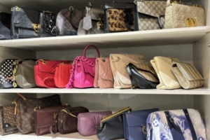 Purse Cabinet organization by wardrobe organiser person