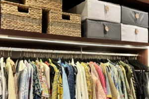 Professional home organizer for wardrobe organization